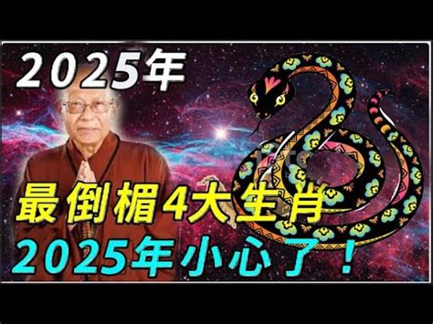 2025年什麼年 台五 點滴